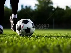 东契奇孤军,奋战,湖人篮网战,世界杯预选赛,2026预选赛,赛程安排,球队动态,比赛结果