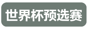 世界杯预选赛